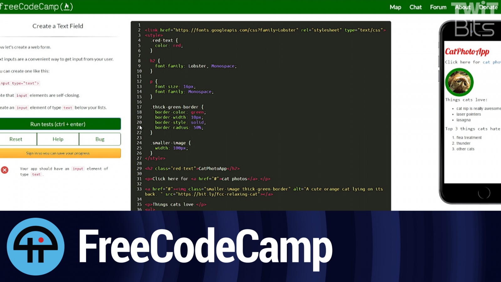 Tech Break: Learn to Code for Free