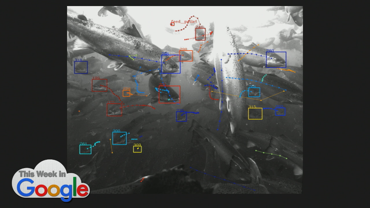 Google's Fishal Recognition