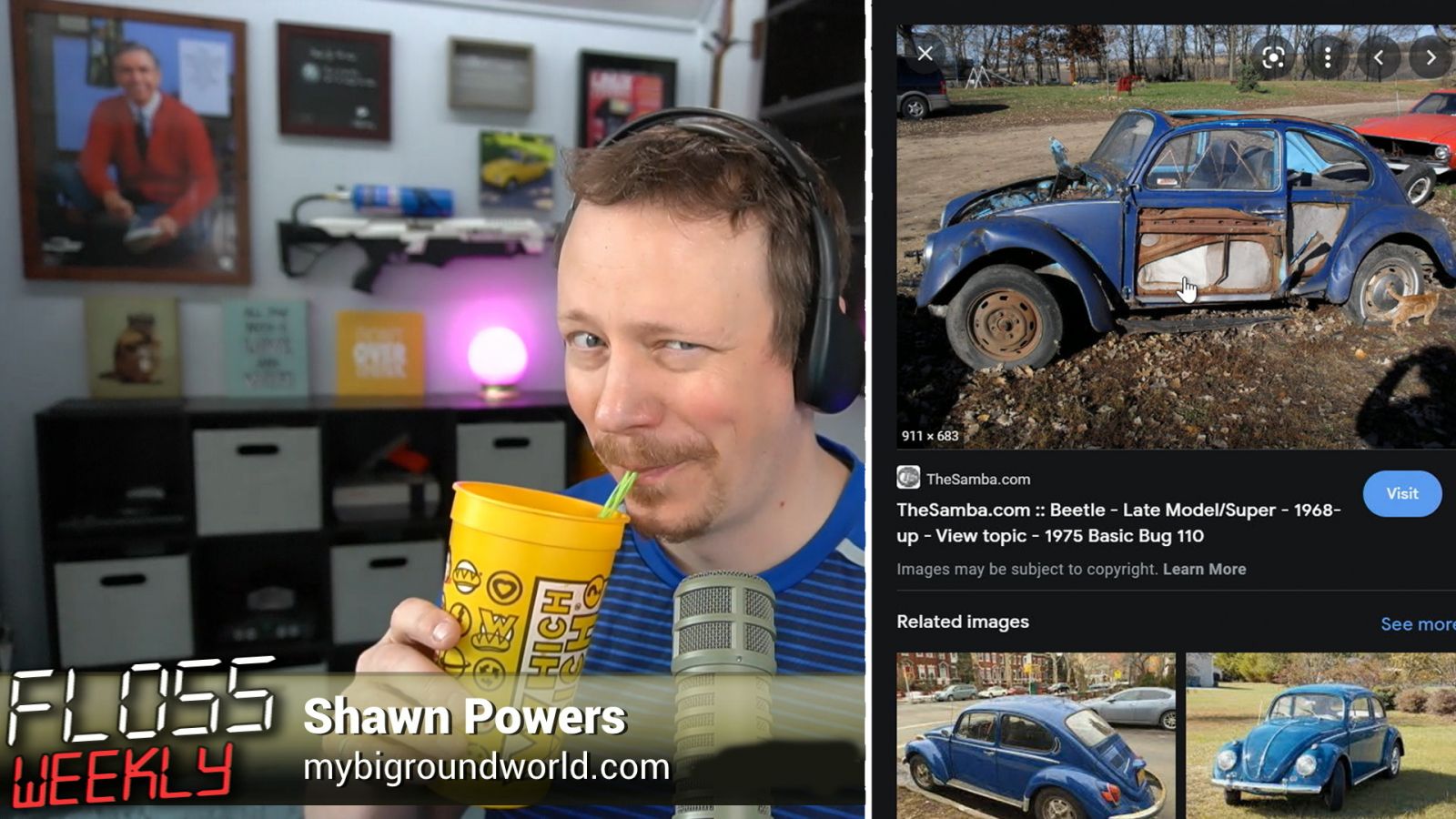 FLOSS Extra: Shawn's Basic Bug