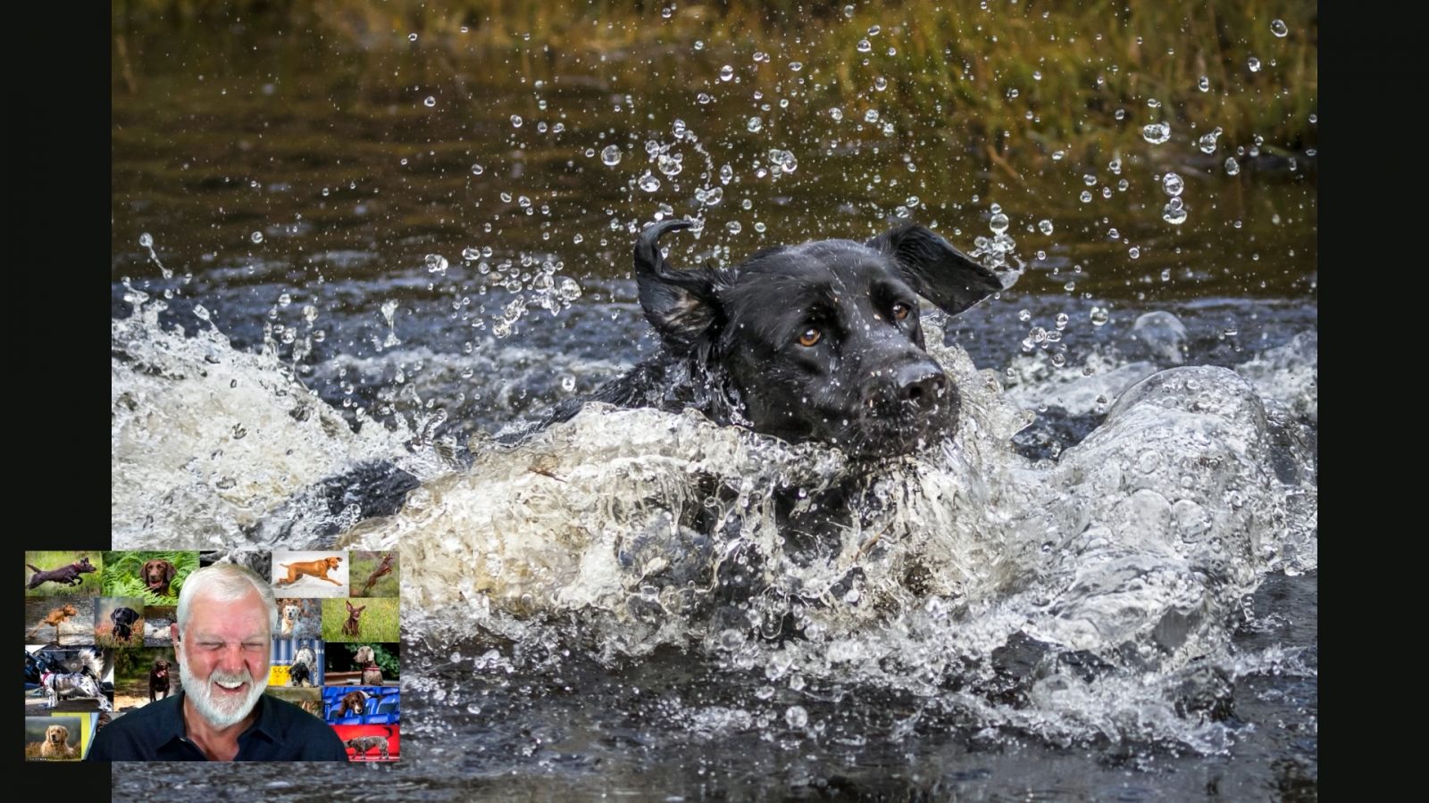 Hands-On Photography 98