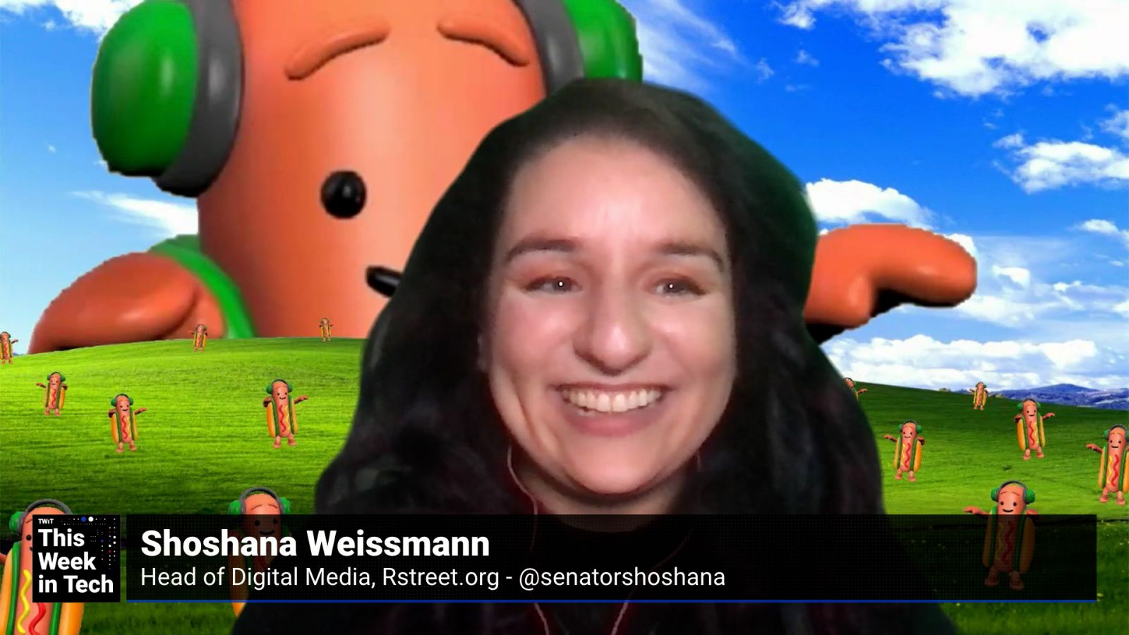 TWiT Extra: Insurance!