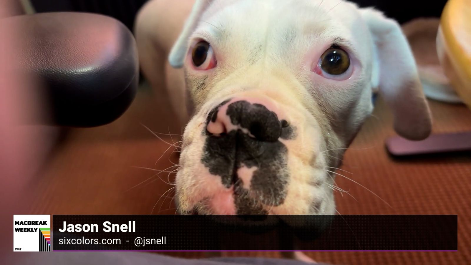 Studio Lighting, Recording Issues, and Mazie!