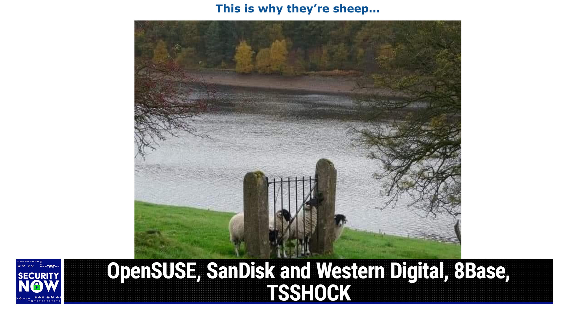 Security Now: When Heuristics Backfire
