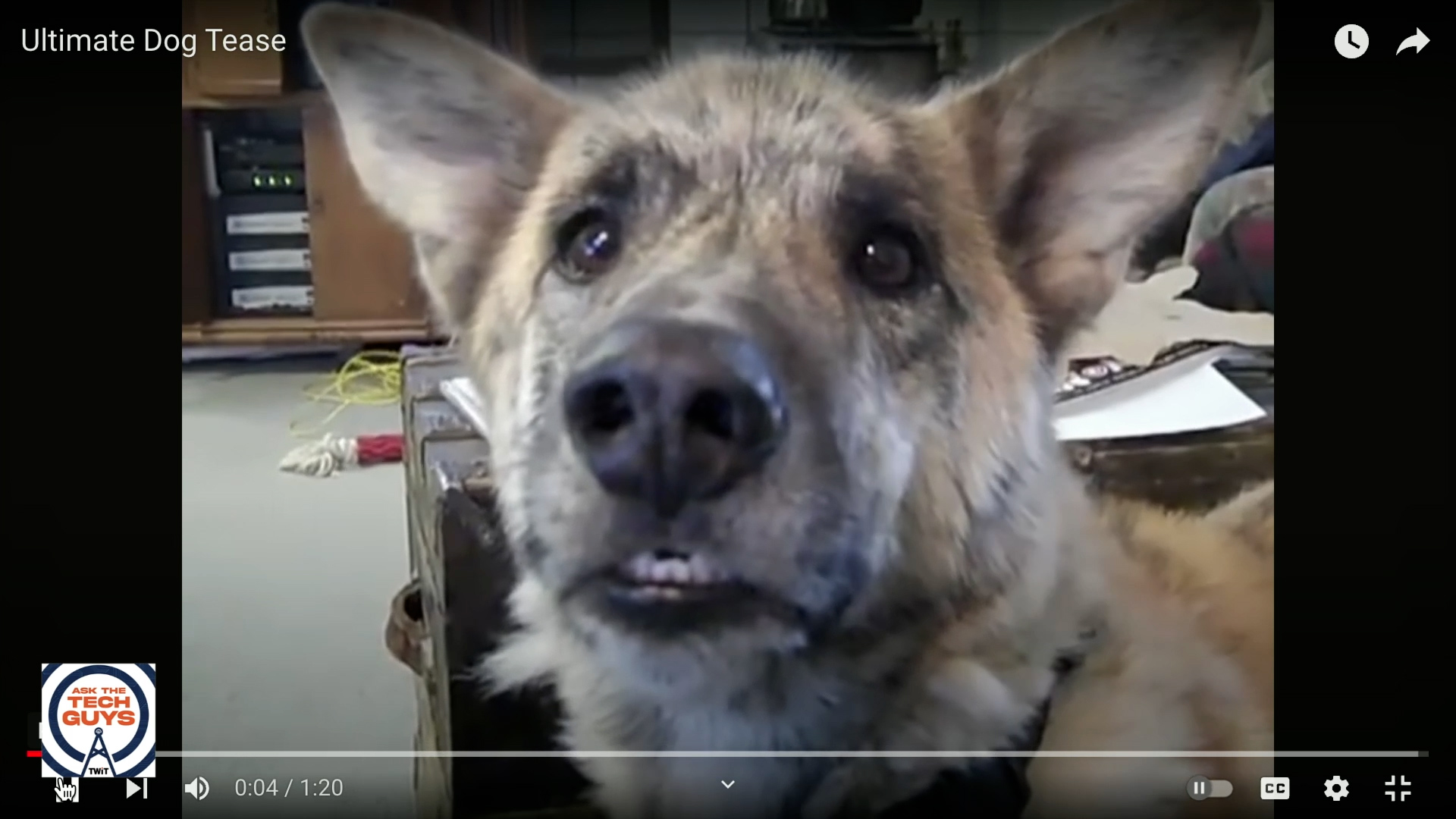 ATG Extra: Leo and Mikah - Digital Saviors