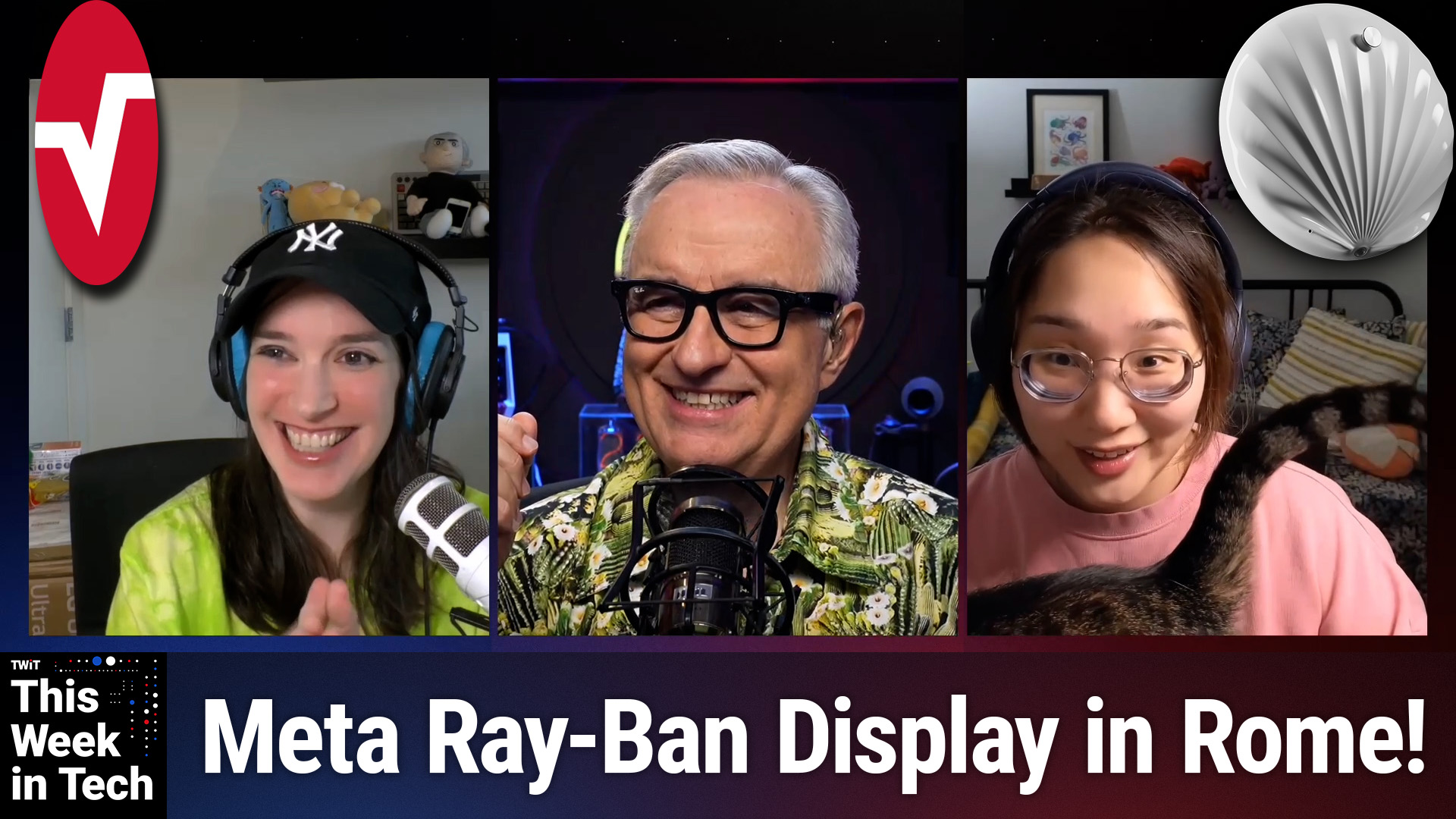 TWiT 1058: Furry Little Potatoes - Smart Glasses & Everyday "Surveillance"