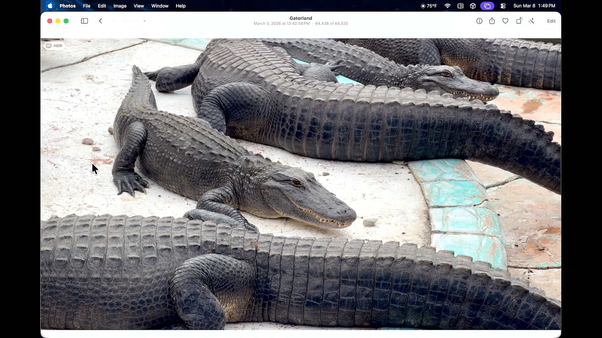 Gatorland, ZTW26, & Waffle House   