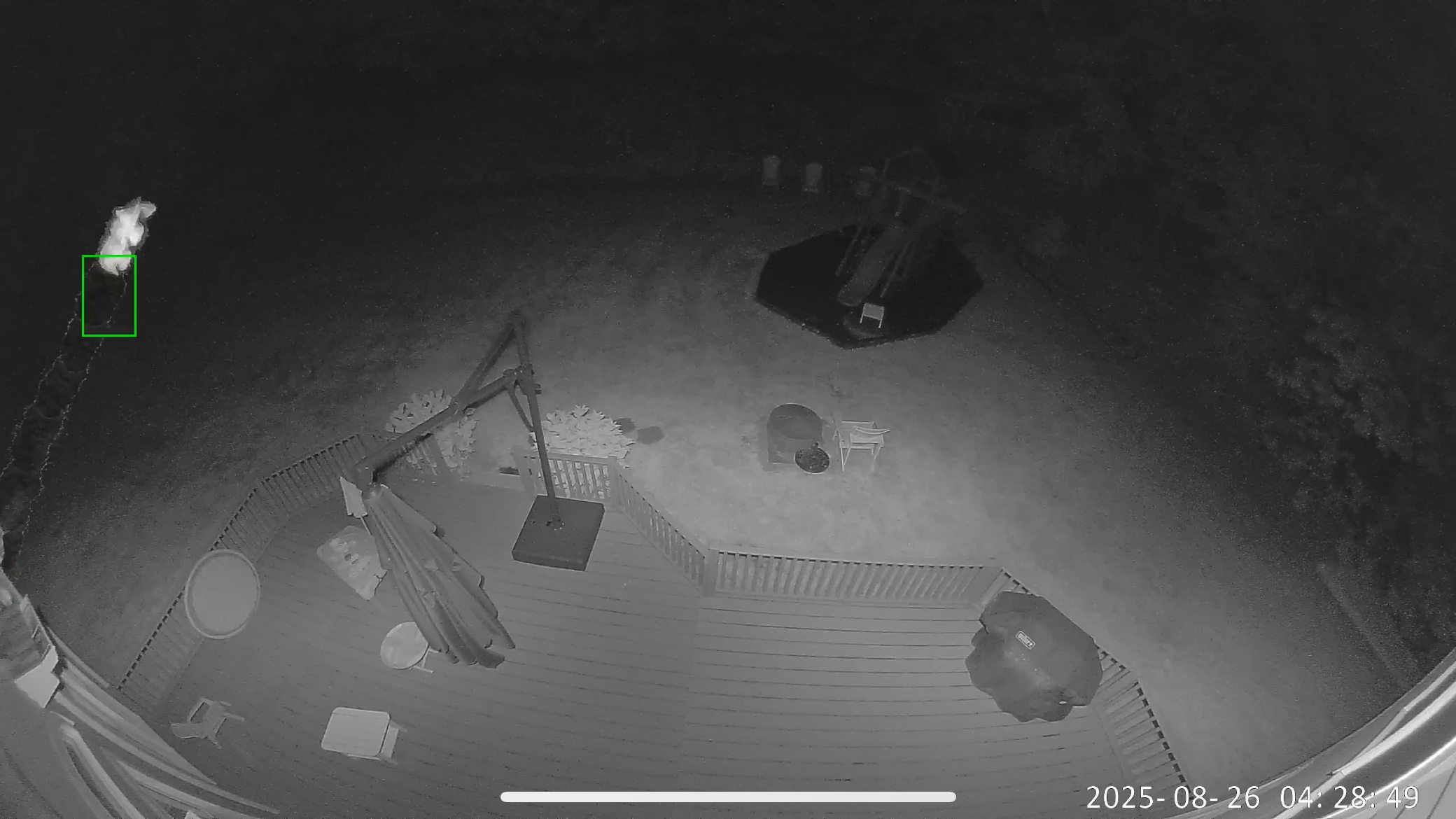 Night vision image showing detection of either an alien materializing...or simply a bug flying close to the camera.