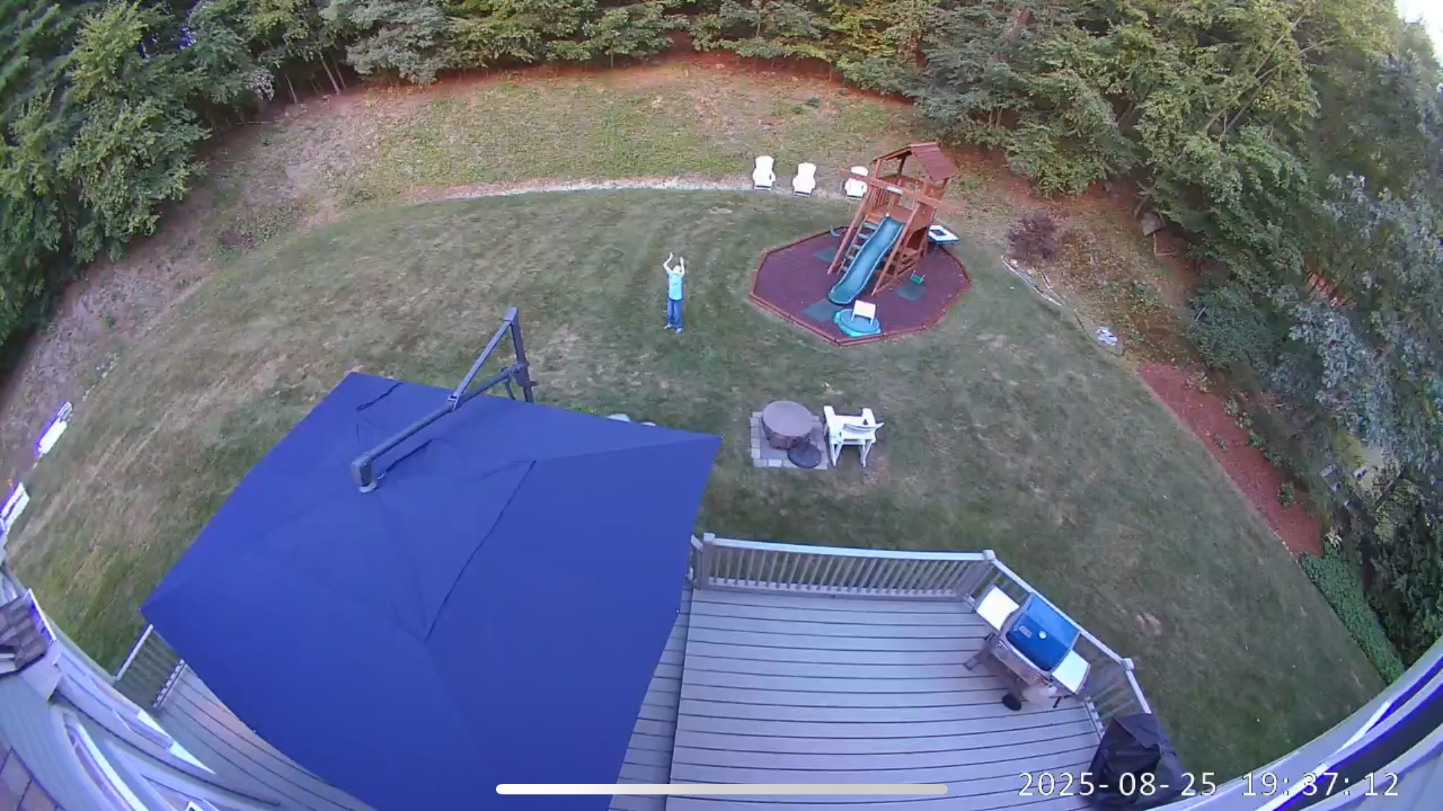 Wyze Cam Floodlight Pro daytime image of a backyard