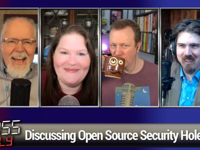 Discussing Open Source Security Holes