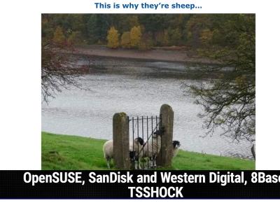 OpenSUSE, SanDisk and Western Digital, 8Base, TSSHOCK