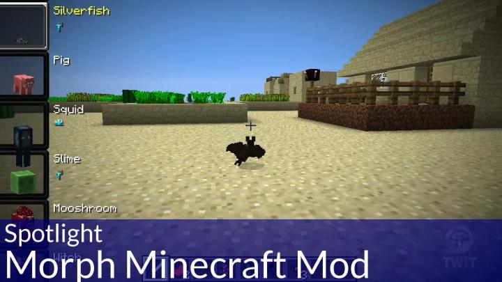OMGcraft 100