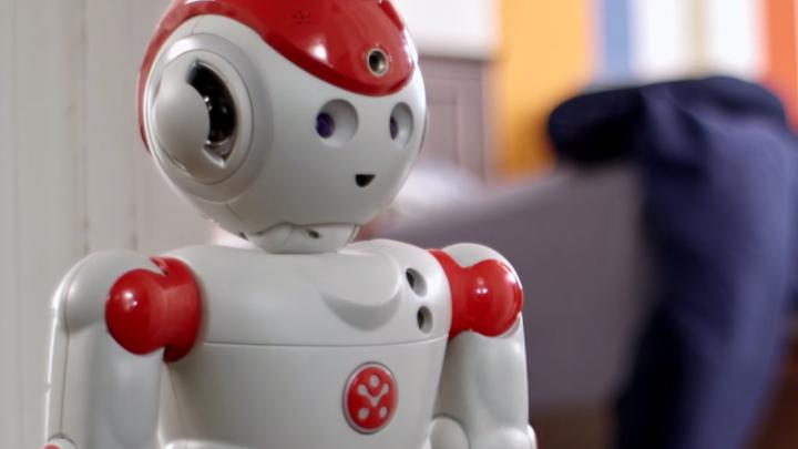 A home humanoid home robot called the Alpha 2 is being crowdfunded on Indiegogo.