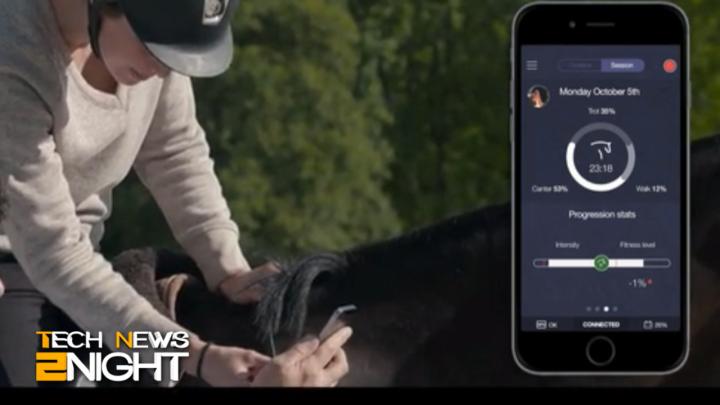 Internet of Things for your horse