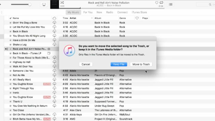 Apple iTunes Delete Dialog Box