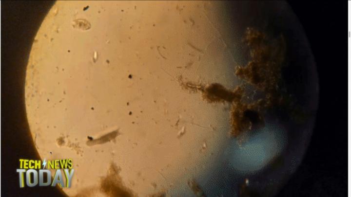 Google Isn't Weird Anymore