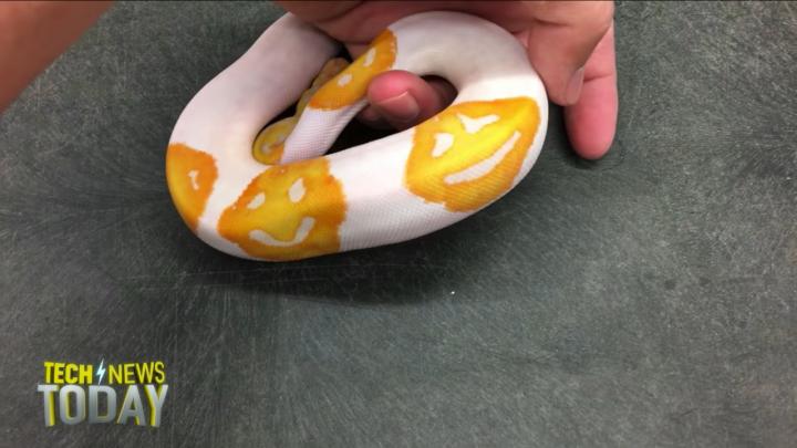The Happiest Python