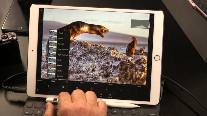 Manage Your Vacation Photos