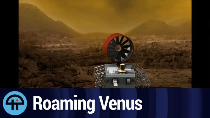 Roaming the surface of Venus