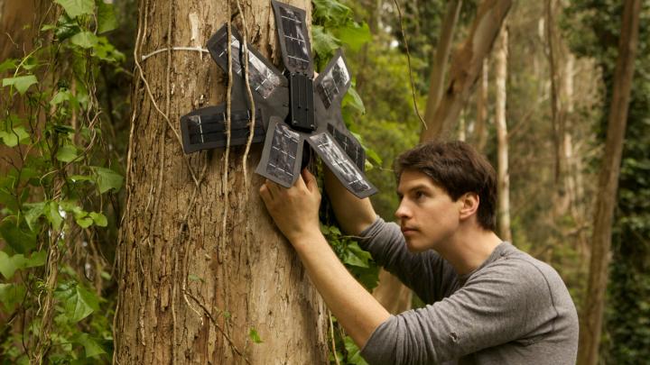 How RFCx is repurposing old smartphones to stop illegal logging.
