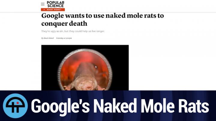 This Week in Google 442