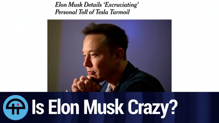 Is Elon Musk Crazy?