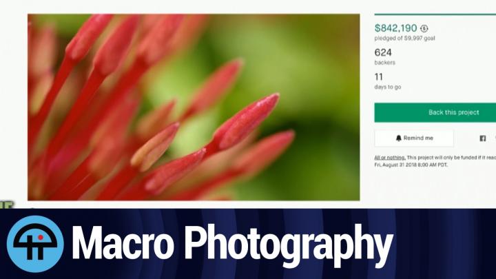 Macro Photography