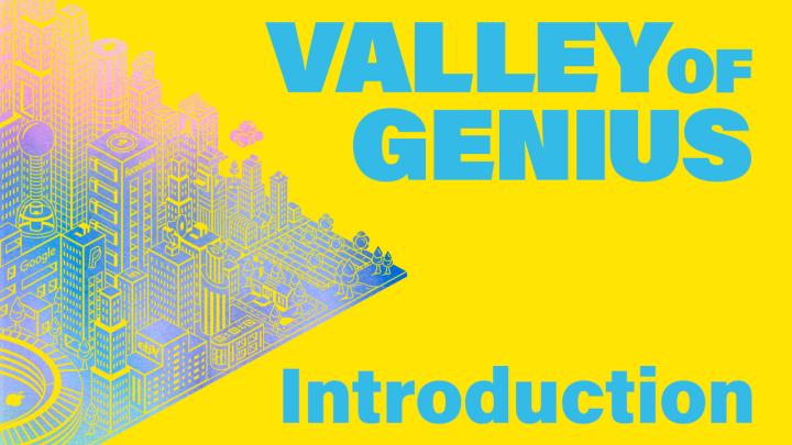 Introduction to Valley of Genius