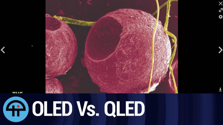 OLED Vs QLED