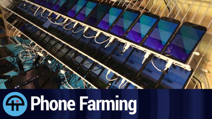 Everyday Phone Farmers