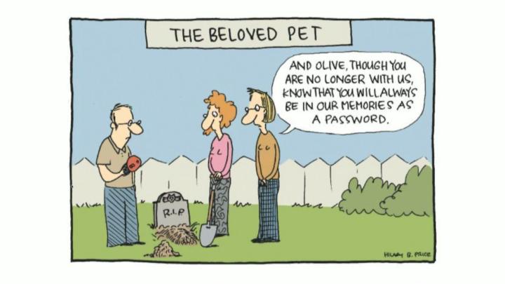 Zoom is a Security Nightmare