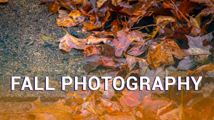 Fall Photography Tips