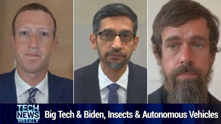 Biden and Big Tech, the Insect Impact Effect on Autonomous Vehicles