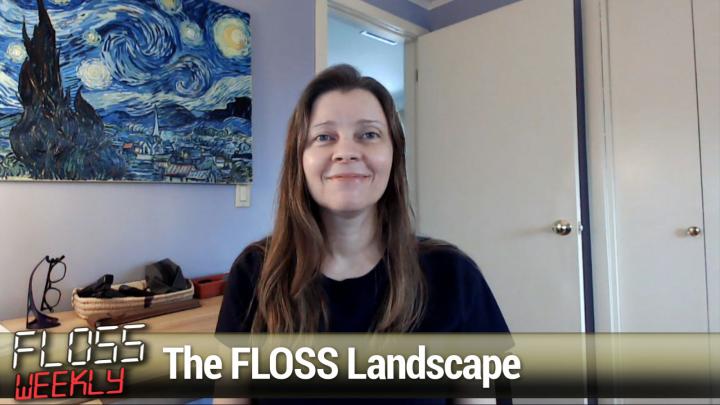 Allison Randal, FLOSS landscape