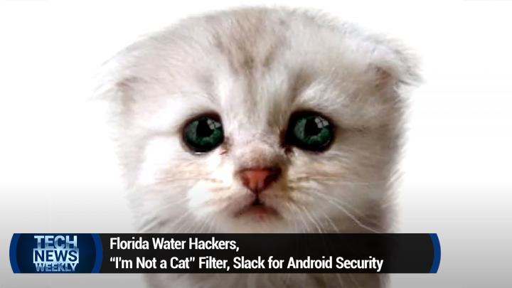 Florida Water Hackers, "I'm Not a Cat" Filter, Slack for Android Security