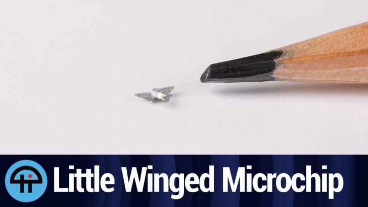 Little Winged Microchip
