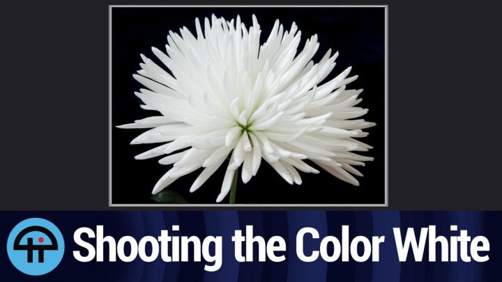 Shooting the Color White