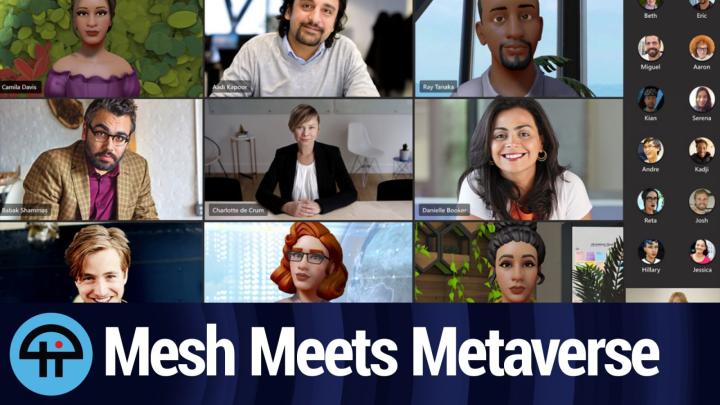 Mesh Meets Metaverse