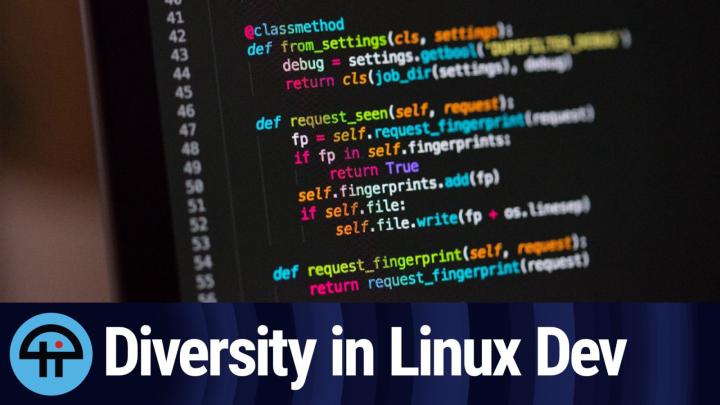 Diversity in Linux Dev