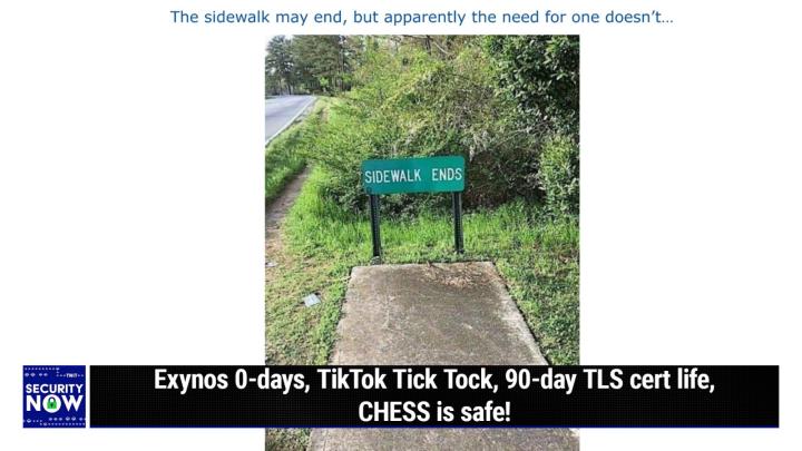 Exynos 0-days, TikTok Tick Tock, 90-day TLS cert life, CHESS is safe!