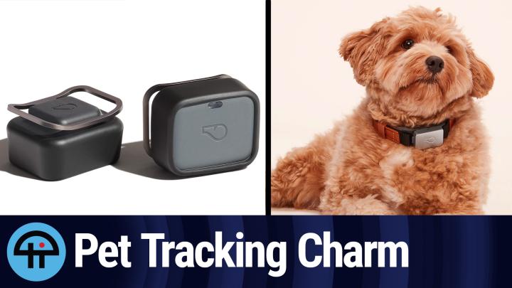 iOS Clip: Tracking Pets With Whistle Devices