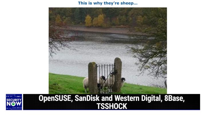 OpenSUSE, SanDisk and Western Digital, 8Base, TSSHOCK