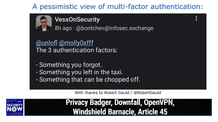 Privacy Badger, Downfall, OpenVPN, Windshield Barnacle, Article 45