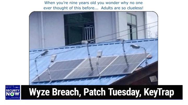 Wyze Breach, Patch Tuesday, KeyTrap