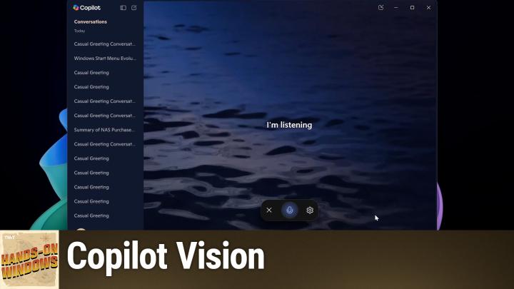 Copilot Vision