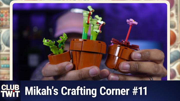 Building Carnivorous Plants That Actually Look Scary!